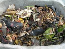 images_103